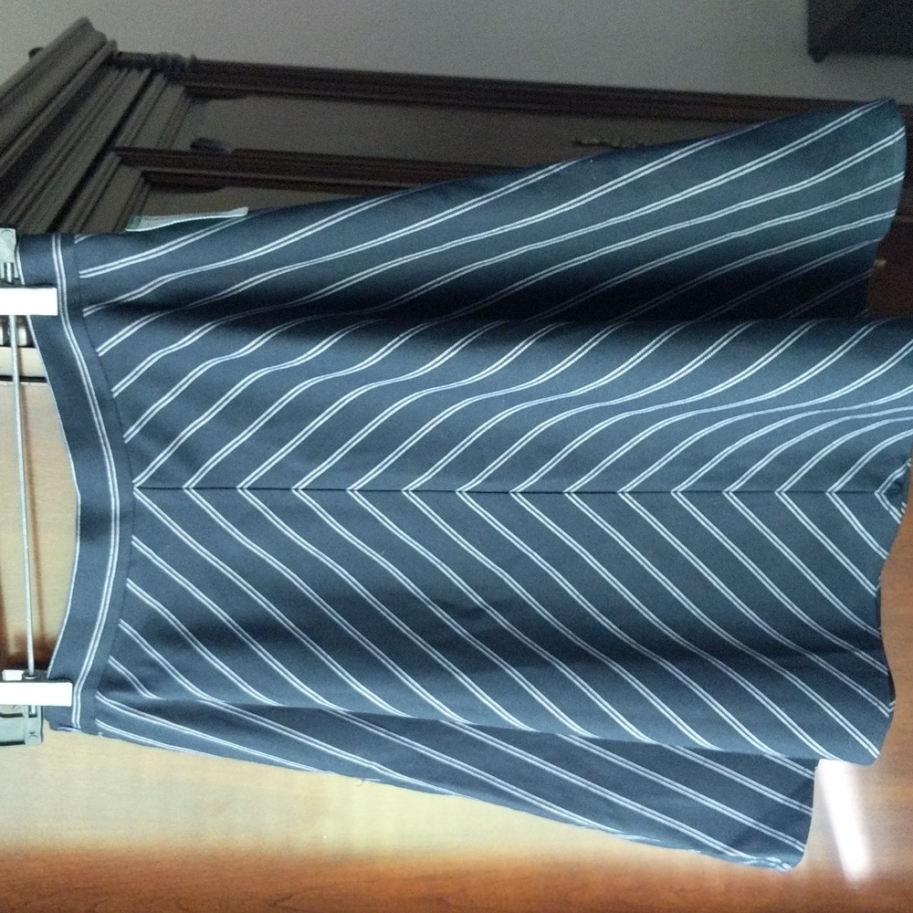 NWT Pinstripe A-line. Miss Patina Large